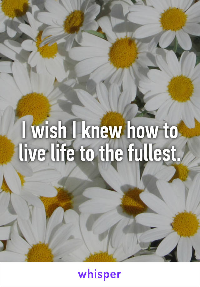 I wish I knew how to live life to the fullest.