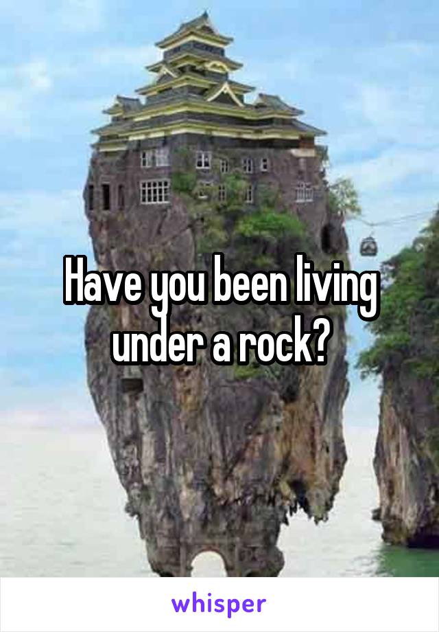 Have you been living under a rock?