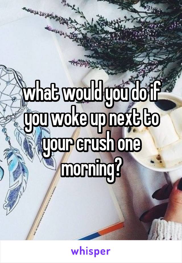 what would you do if you woke up next to your crush one morning?
