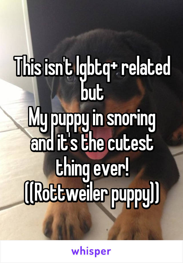 This isn't lgbtq+ related but
My puppy in snoring and it's the cutest thing ever!
((Rottweiler puppy))