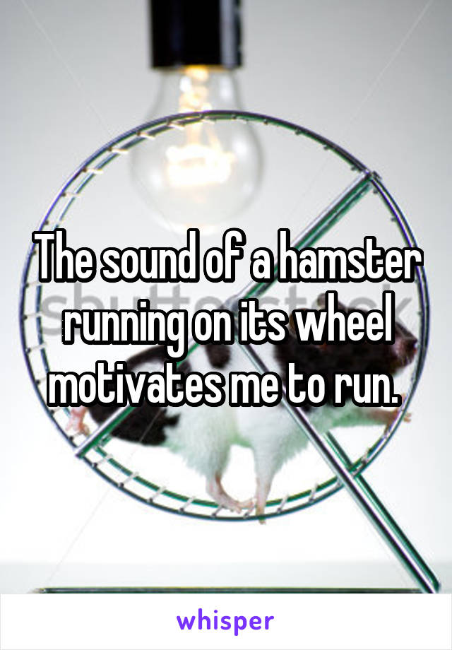 The sound of a hamster running on its wheel motivates me to run. 