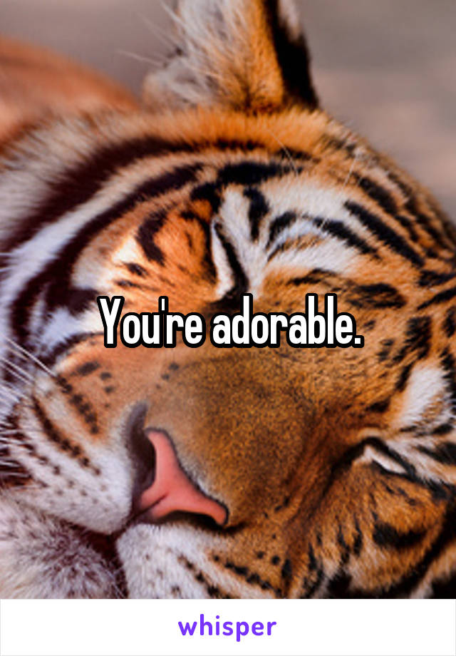 You're adorable.