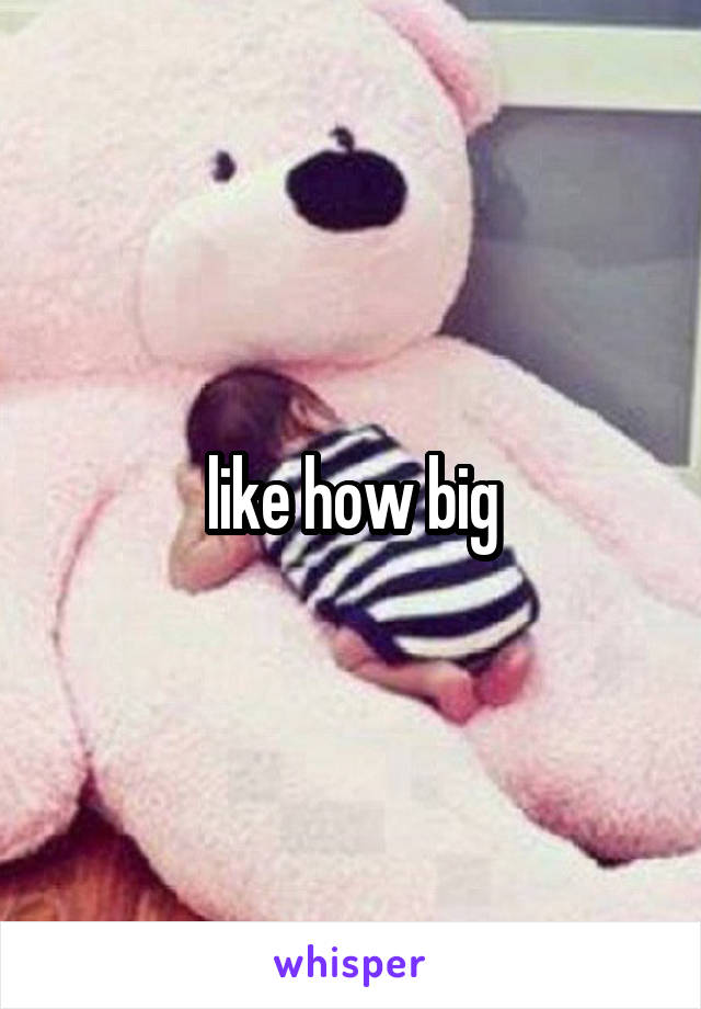 like how big