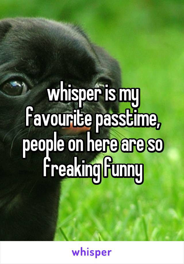 whisper is my favourite passtime, people on here are so freaking funny