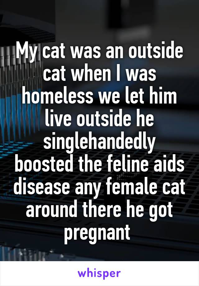 My cat was an outside cat when I was homeless we let him live outside he singlehandedly boosted the feline aids disease any female cat around there he got pregnant 
