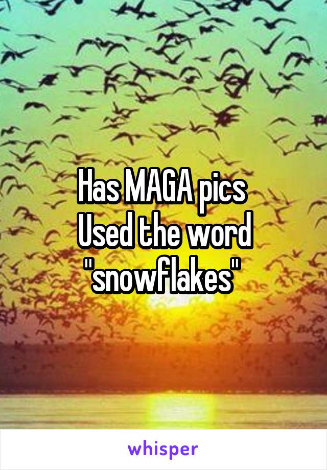 Has MAGA pics 
Used the word "snowflakes" 
