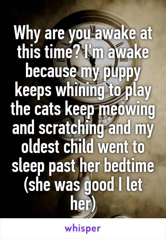 Why are you awake at this time? I'm awake because my puppy keeps whining to play the cats keep meowing and scratching and my oldest child went to sleep past her bedtime (she was good I let her)