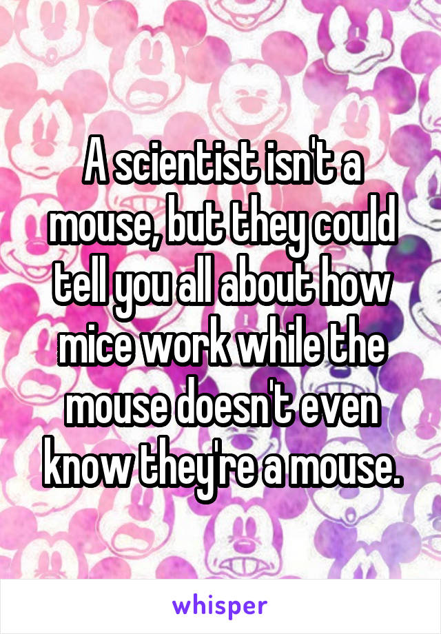 A scientist isn't a mouse, but they could tell you all about how mice work while the mouse doesn't even know they're a mouse.