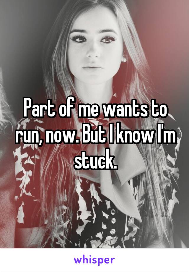 Part of me wants to run, now. But I know I'm stuck.