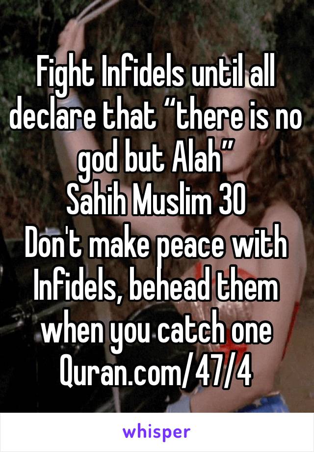 Fight Infidels until all declare that “there is no god but Alah”
Sahih Muslim 30
Don't make peace with Infidels, behead them when you catch one﻿
Quran.com/47/4