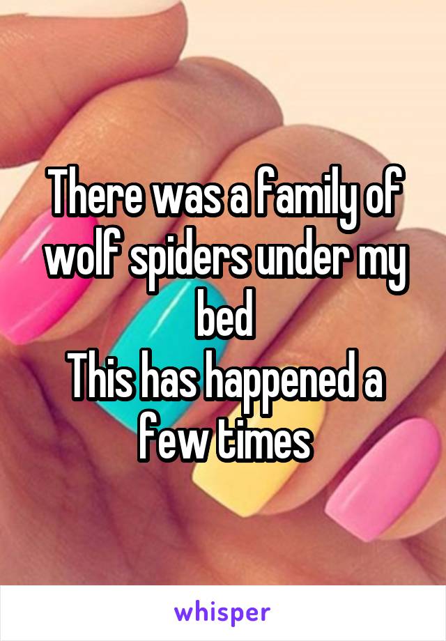 There was a family of wolf spiders under my bed
This has happened a few times