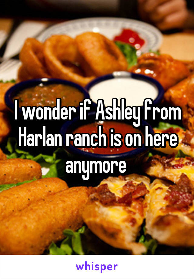 I wonder if Ashley from Harlan ranch is on here anymore 