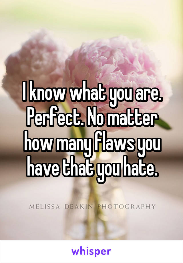 I know what you are. Perfect. No matter how many flaws you have that you hate.