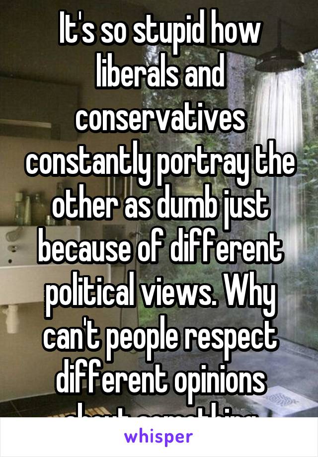 It's so stupid how liberals and conservatives constantly portray the other as dumb just because of different political views. Why can't people respect different opinions about something