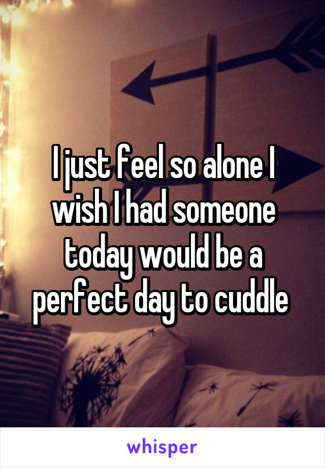 I just feel so alone I wish I had someone today would be a perfect day to cuddle 