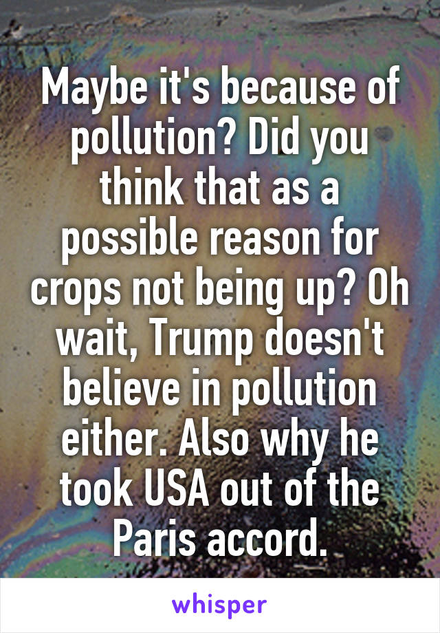 Maybe it's because of pollution? Did you think that as a possible reason for crops not being up? Oh wait, Trump doesn't believe in pollution either. Also why he took USA out of the Paris accord.