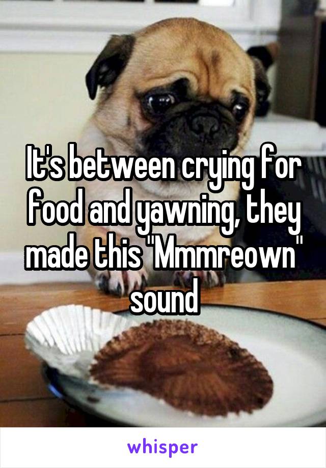 It's between crying for food and yawning, they made this "Mmmreown" sound