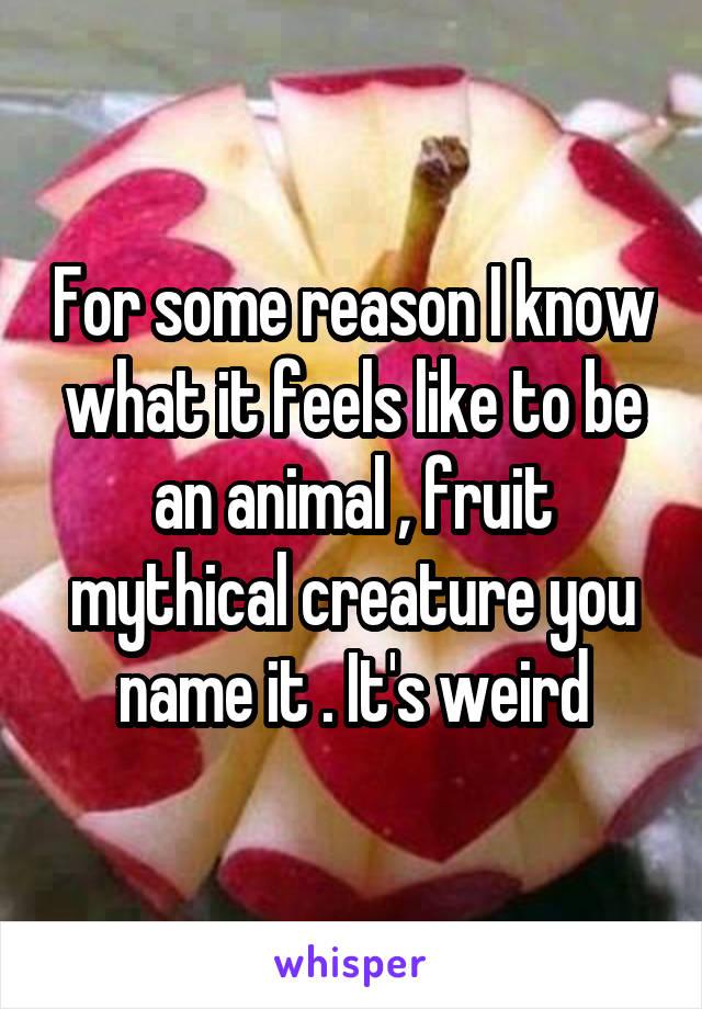 For some reason I know what it feels like to be an animal , fruit mythical creature you name it . It's weird