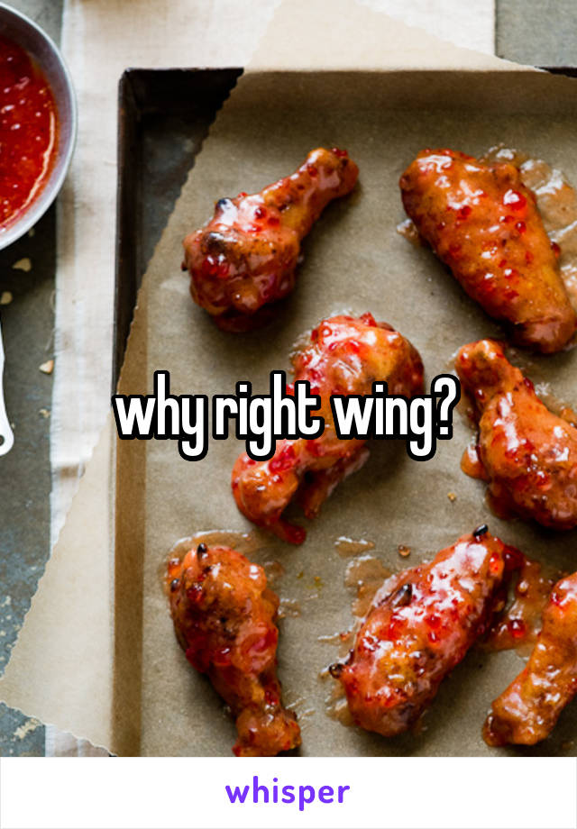why right wing? 
