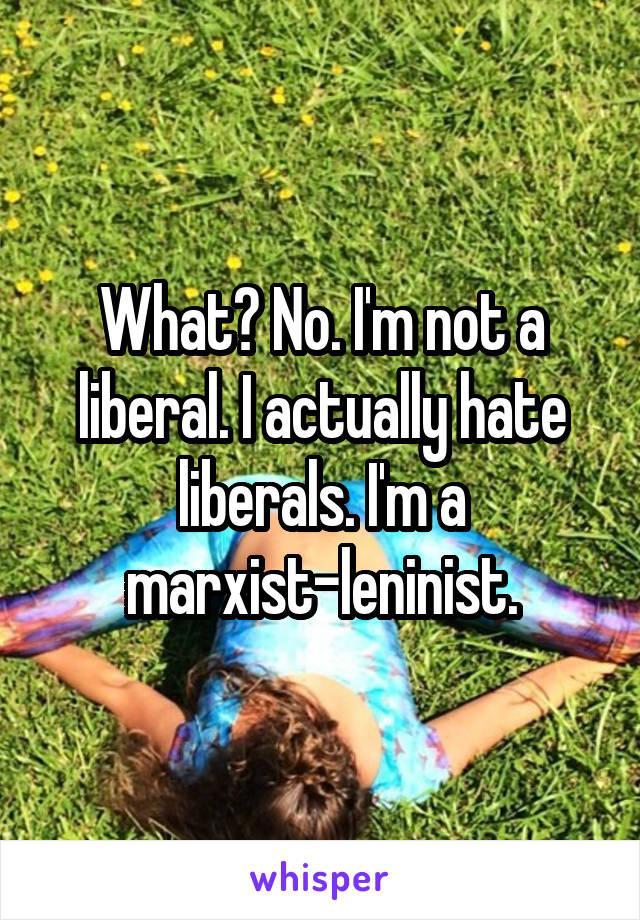 What? No. I'm not a liberal. I actually hate liberals. I'm a marxist-leninist.