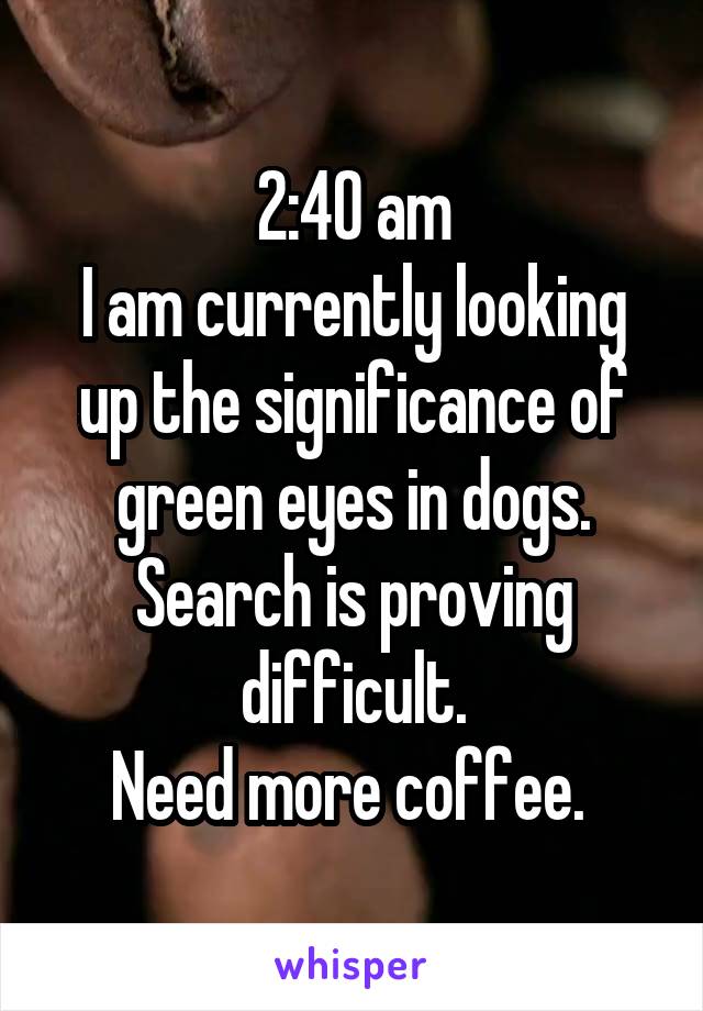 2:40 am
I am currently looking up the significance of green eyes in dogs. Search is proving difficult.
Need more coffee. 