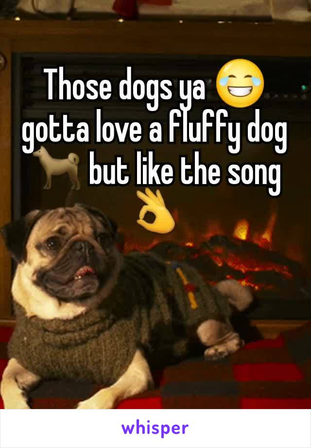 Those dogs ya 😂 gotta love a fluffy dog 🐕 but like the song 👌