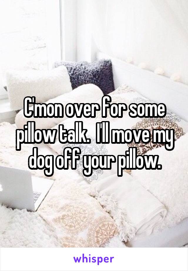 C'mon over for some pillow talk.  I'll move my dog off your pillow.