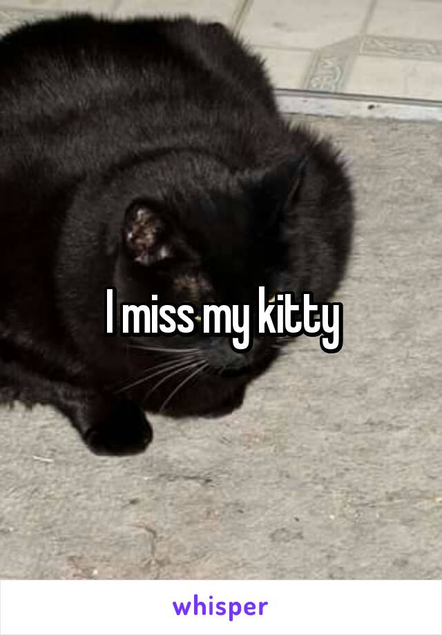 I miss my kitty