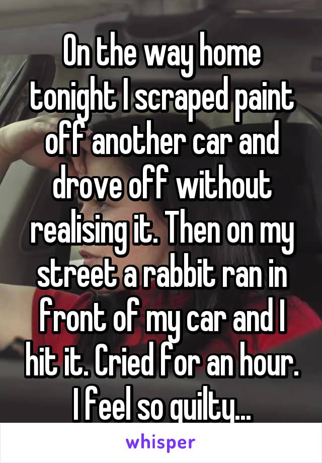 On the way home tonight I scraped paint off another car and drove off without realising it. Then on my street a rabbit ran in front of my car and I hit it. Cried for an hour. I feel so guilty...