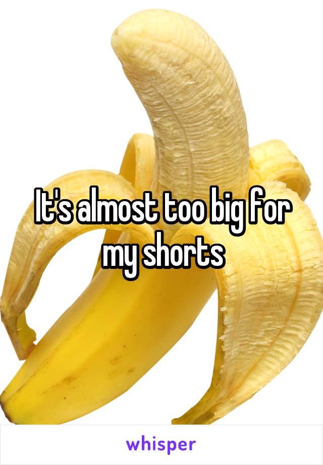 It's almost too big for my shorts