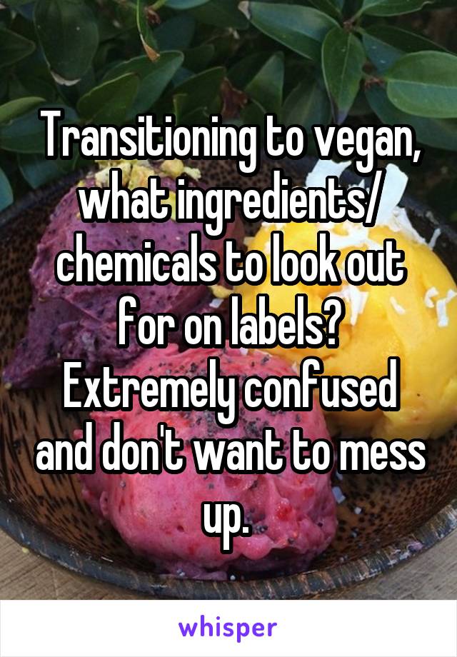Transitioning to vegan, what ingredients/ chemicals to look out for on labels? Extremely confused and don't want to mess up. 