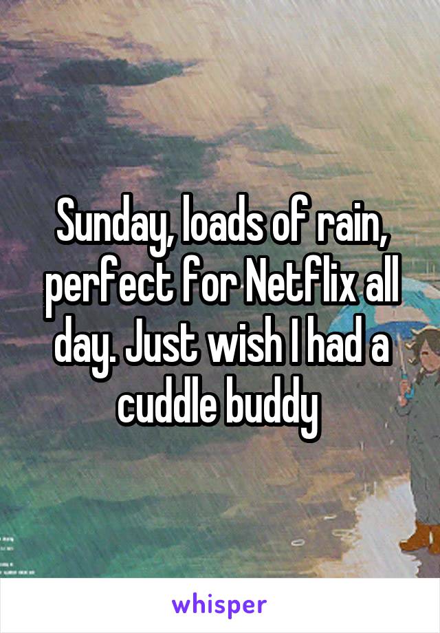 Sunday, loads of rain, perfect for Netflix all day. Just wish I had a cuddle buddy 