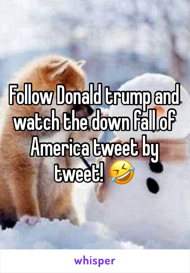 Follow Donald trump and watch the down fall of America tweet by tweet! 🤣