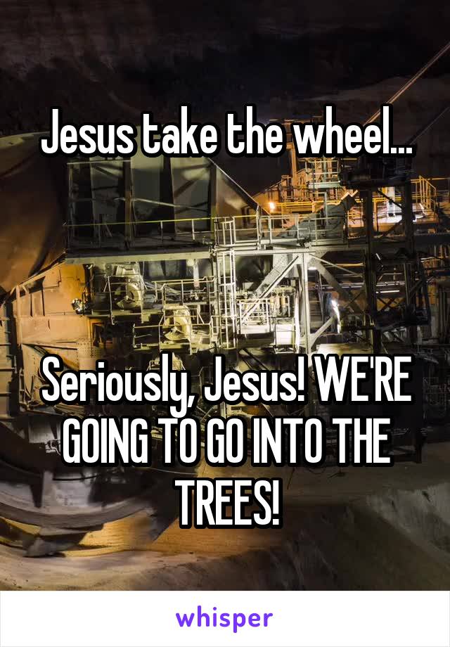 Jesus take the wheel...



Seriously, Jesus! WE'RE GOING TO GO INTO THE TREES!