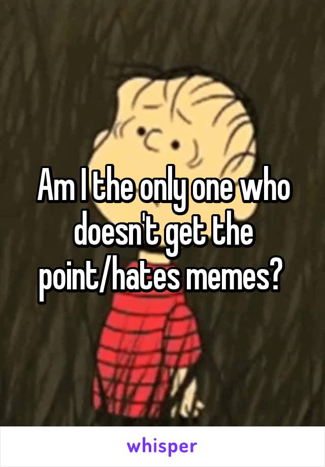 Am I the only one who doesn't get the point/hates memes? 