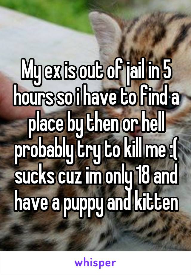 My ex is out of jail in 5 hours so i have to find a place by then or hell probably try to kill me :( sucks cuz im only 18 and have a puppy and kitten