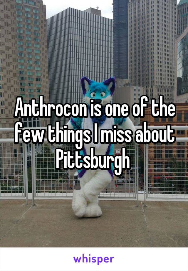 Anthrocon is one of the few things I miss about Pittsburgh 