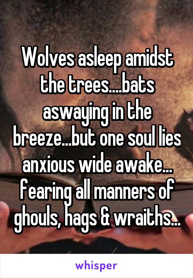Wolves asleep amidst the trees....bats aswaying in the breeze...but one soul lies anxious wide awake... fearing all manners of ghouls, hags & wraiths...