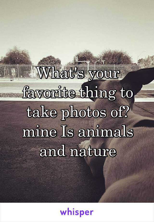 What's your favorite thing to take photos of? mine Is animals and nature