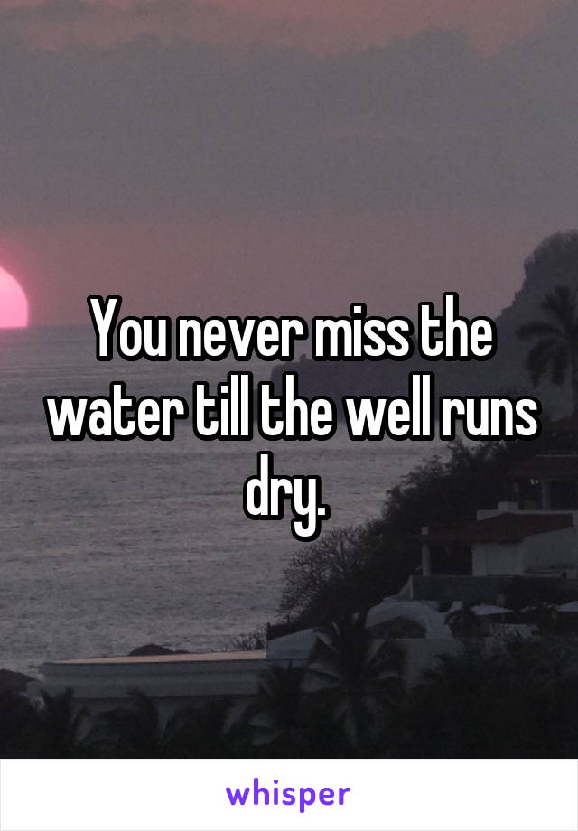 You never miss the water till the well runs dry. 