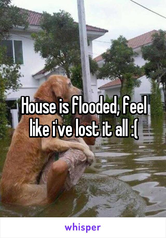 House is flooded, feel like i've lost it all :(