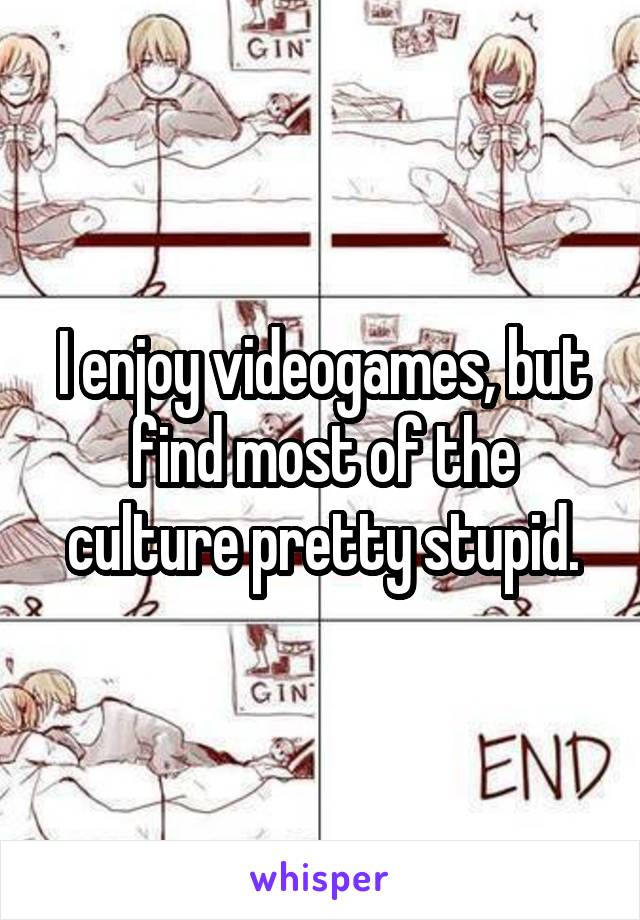 I enjoy videogames, but find most of the culture pretty stupid.