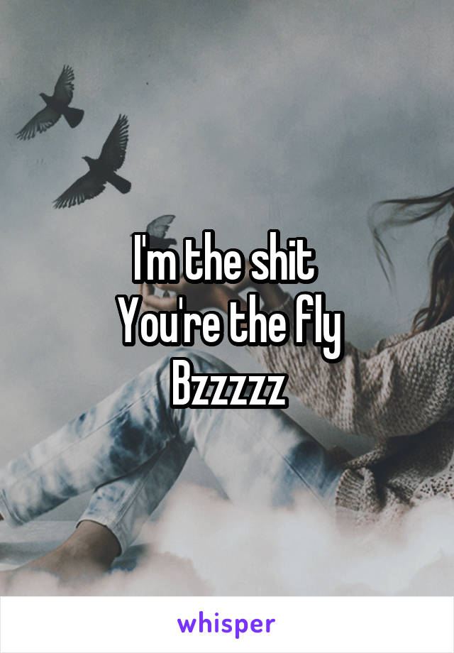 I'm the shit 
You're the fly
Bzzzzz