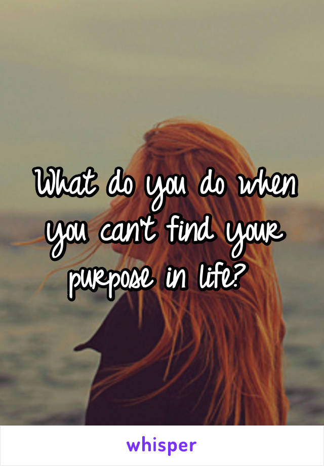 What do you do when you can't find your purpose in life? 