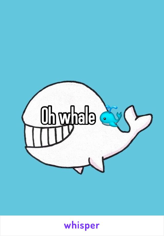 Oh whale 🐳 