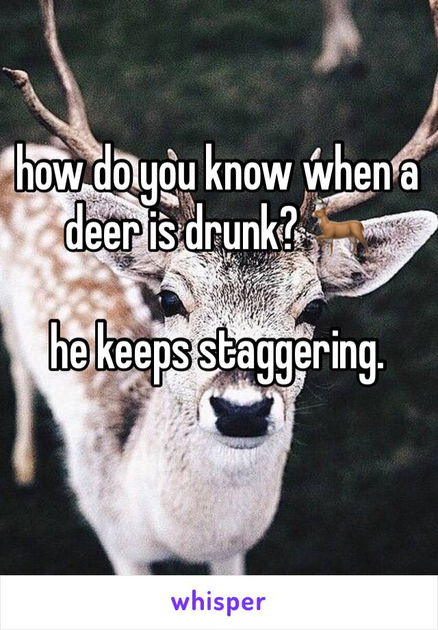 how do you know when a deer is drunk? 🦌 

he keeps staggering.