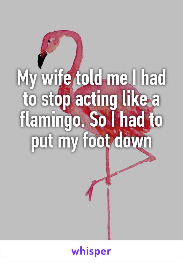 My wife told me I had to stop acting like a flamingo. So I had to put my foot down

