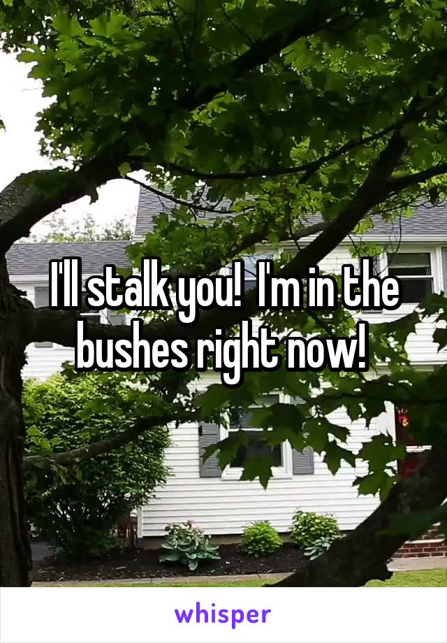 I'll stalk you!  I'm in the bushes right now! 