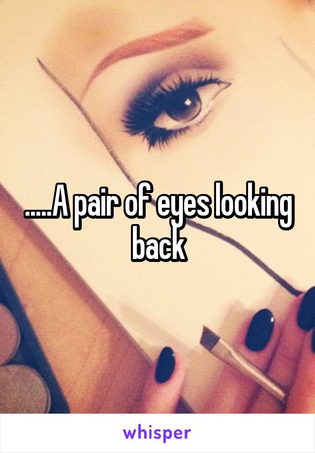 .....A pair of eyes looking back