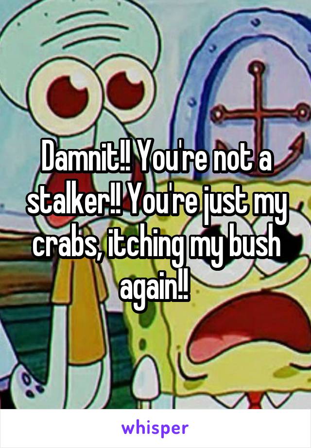 Damnit!! You're not a stalker!! You're just my crabs, itching my bush again!! 